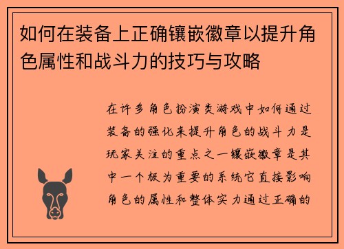 如何在装备上正确镶嵌徽章以提升角色属性和战斗力的技巧与攻略